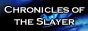 ChroniclesoftheSlayerminibannercopy.jpg