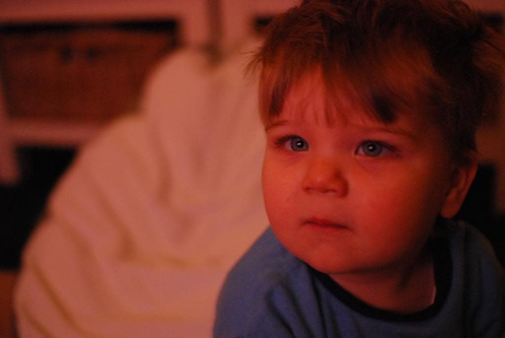 DSC_5352.jpg