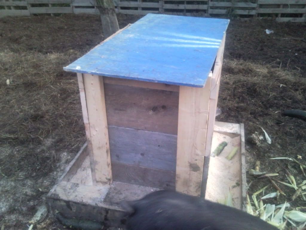 Amount of feed - Pigs