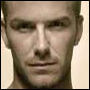 becks.png