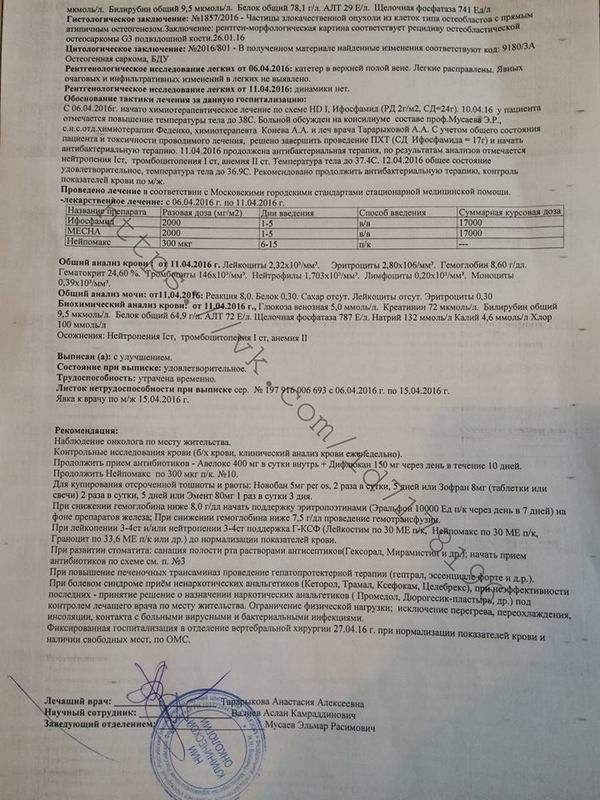 photo 5.jpg
