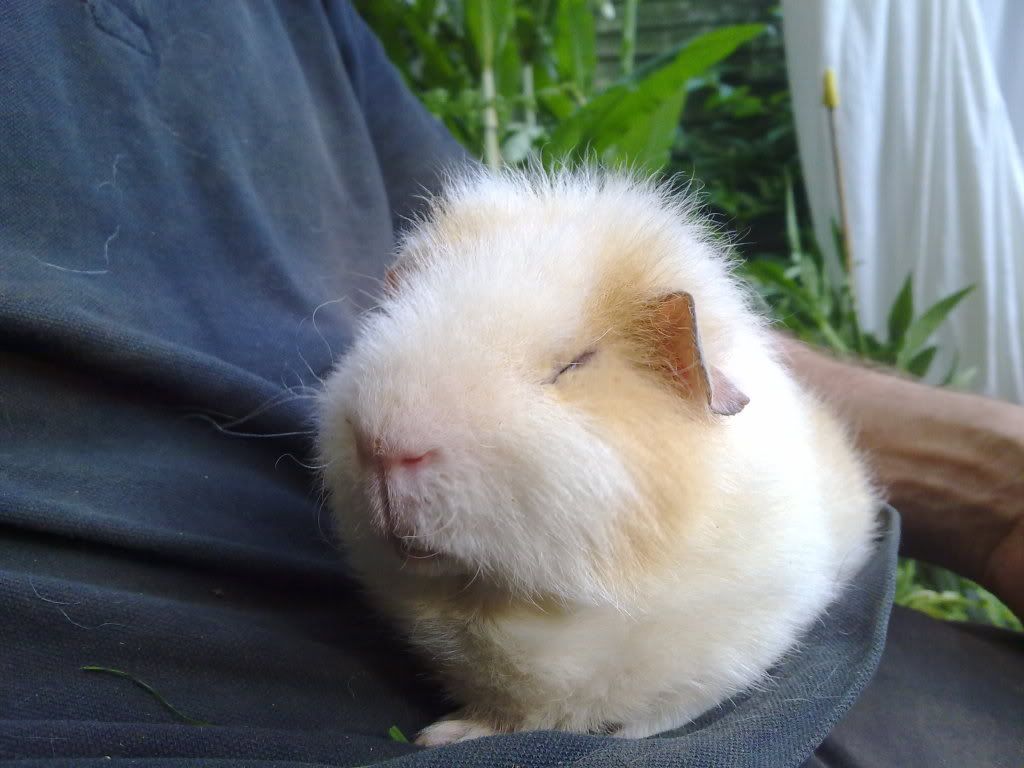 040620111139.jpg